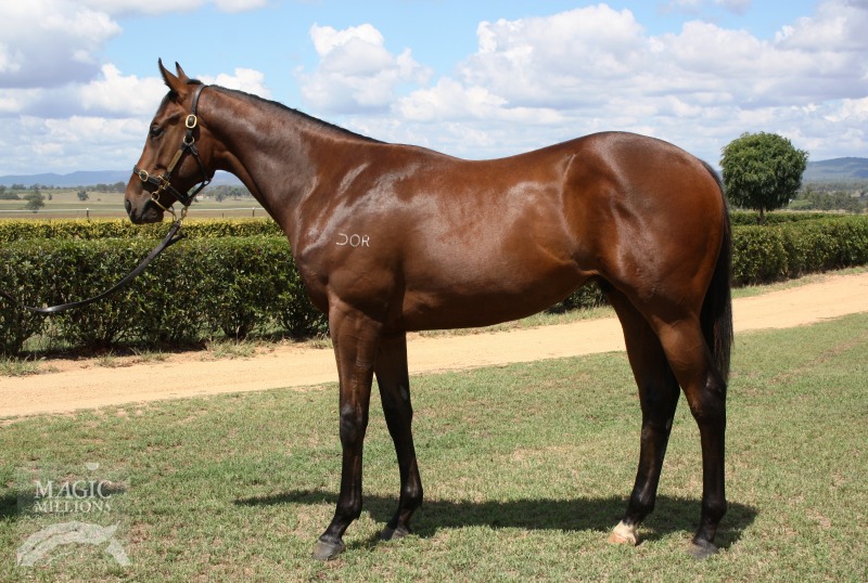 Spirit of Boom (AUS) / Out of Brass (AUS) - photo 1