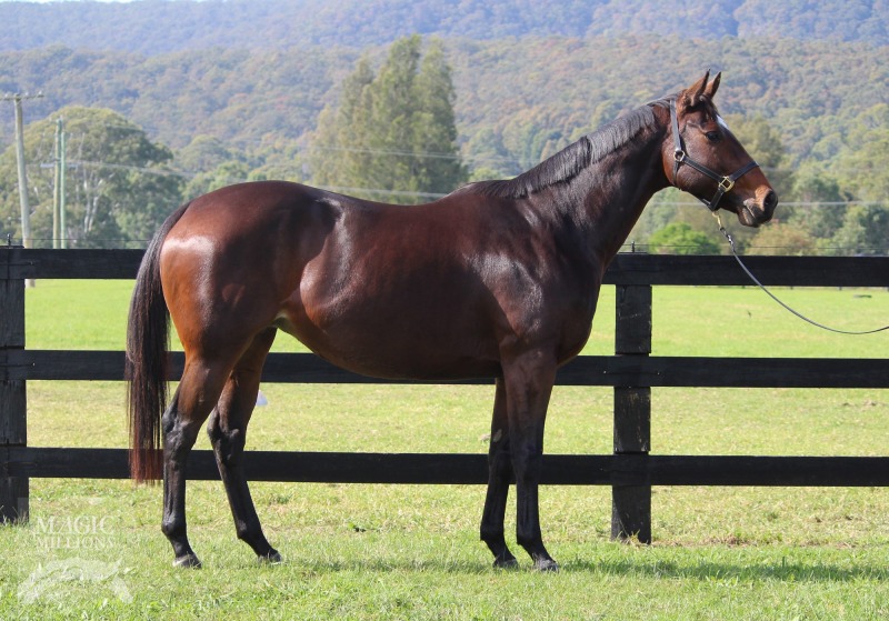 Echoes (AUS) - photo 1