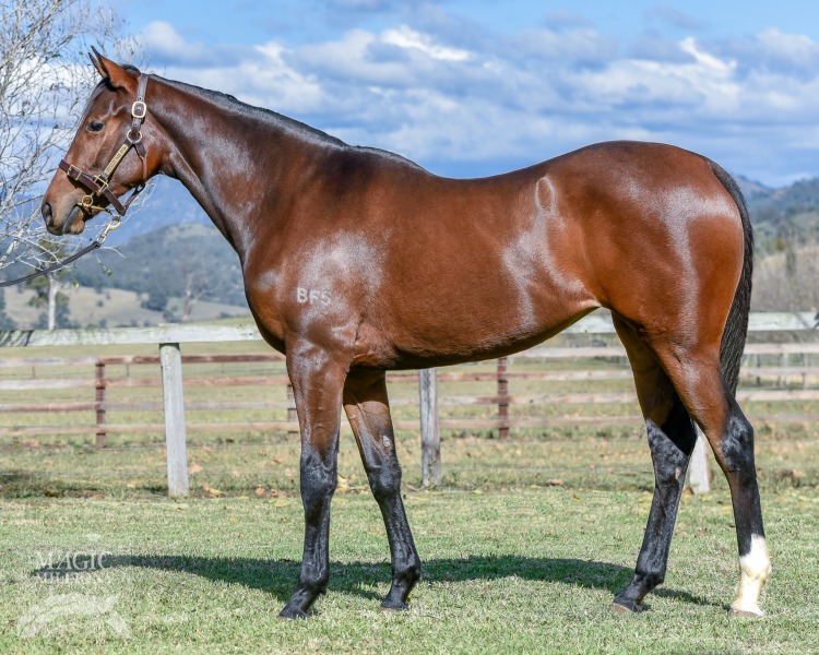 So You Think (NZ) / Demerger (AUS) - photo 1