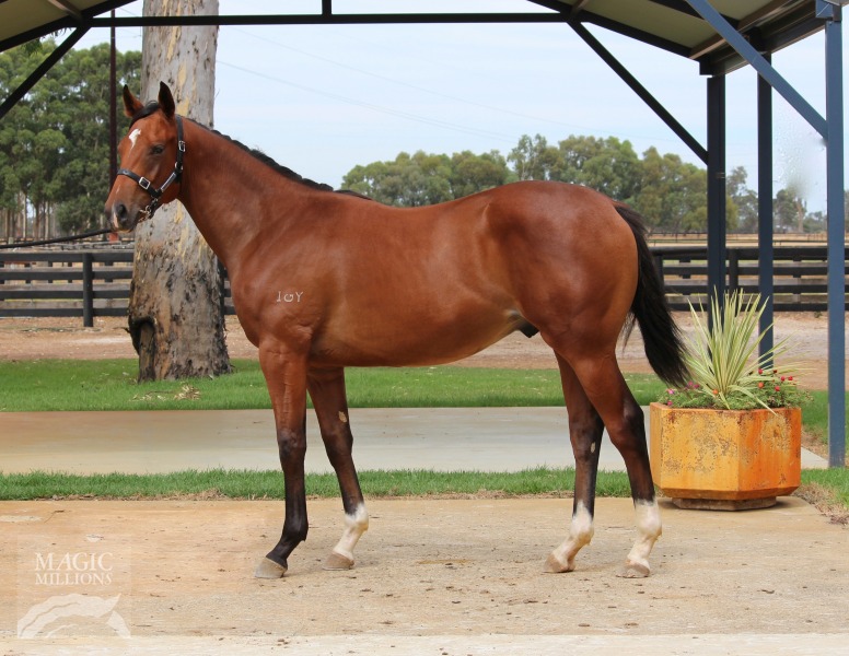 Galah (AUS) / Dance To Heaven (AUS) - photo 1