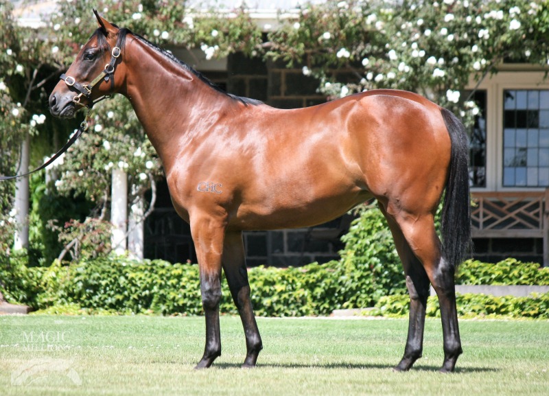 Wandjina (AUS) / Purcentage (AUS) - photo 1