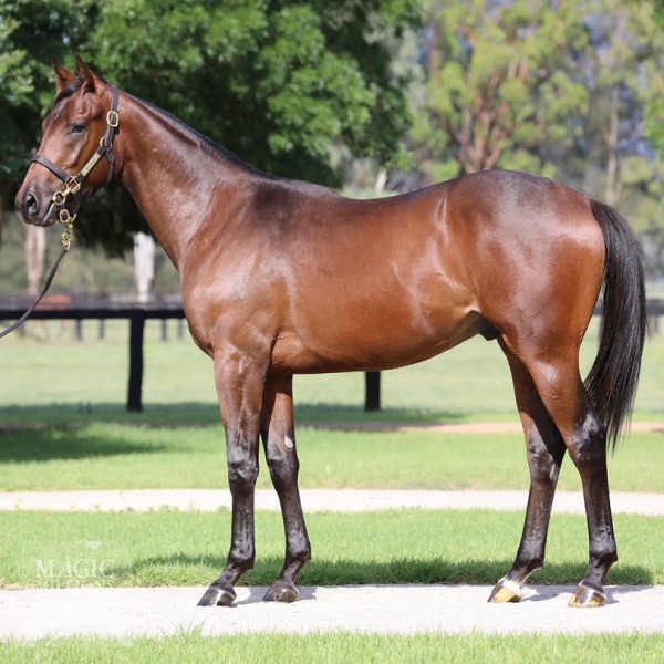 Rubick (AUS) / Queen for Ninedays (NZ) - photo 1