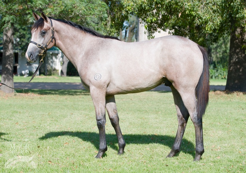 Your Song (AUS) / Virtual Velocity (AUS) - photo 1