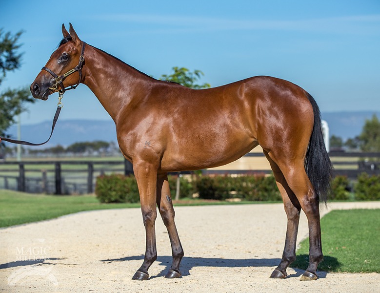 Deep Field (AUS) / Cathay Lady (AUS) - photo 1