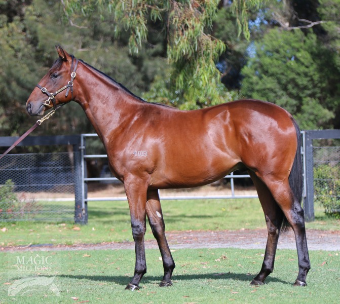Snitzel (AUS) / Dances on Waves (AUS) - photo 1