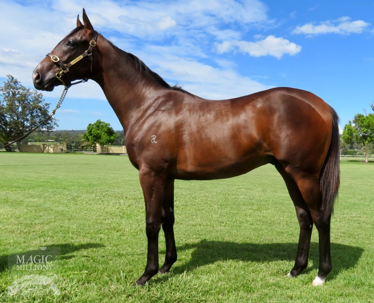 Unencumbered (AUS) / Tangerine Dream (FR) - photo 1