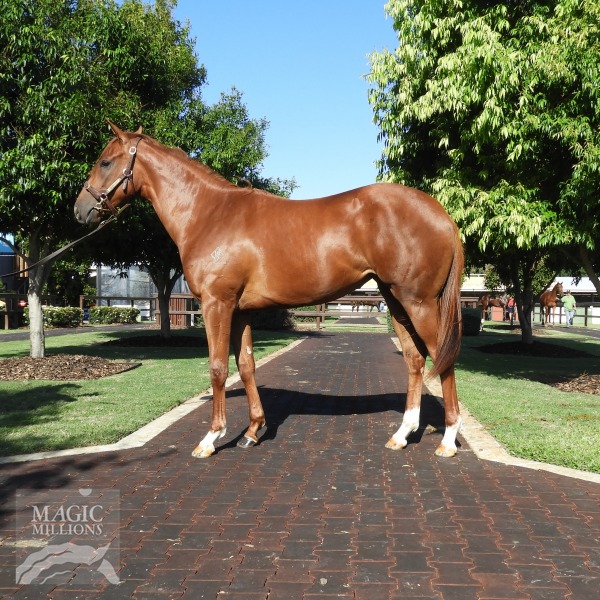 Rothesay (AUS) / Seconde (AUS) - photo 1