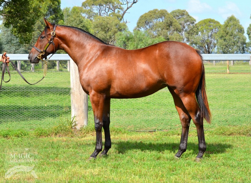 Bel Esprit (AUS) / Dolphin Dance (AUS) - photo 1