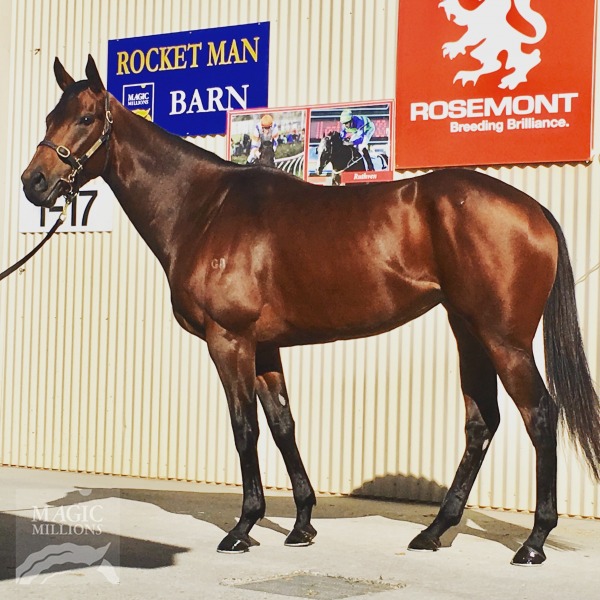 Montoya's Secret (AUS) - photo 1