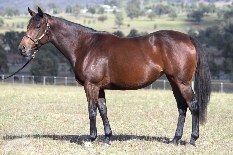 Dame Margo Fonteyn (NZ) - photo 1