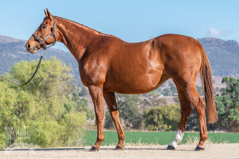 Flion Fenena (AUS) - photo 1