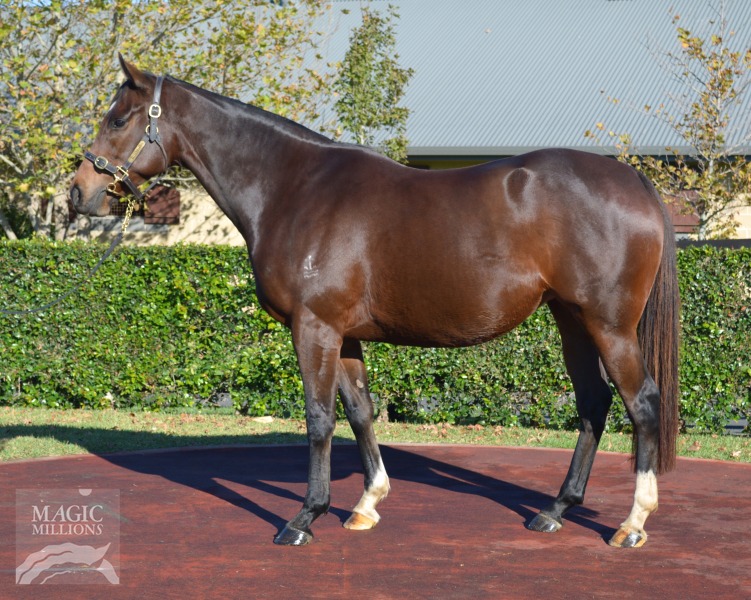 Perfectly Safe (AUS) - photo 1