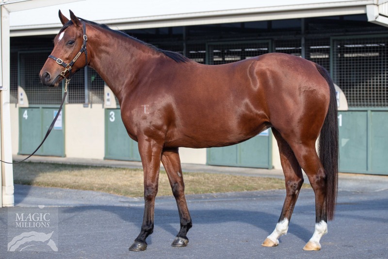 Typecast (AUS) - photo 1