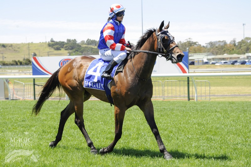 Bella Vino (AUS) - photo 1