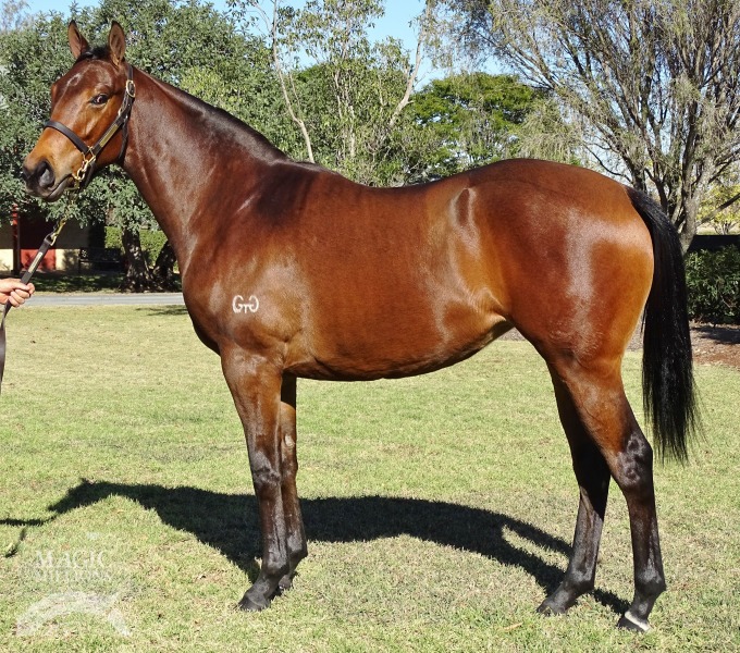 Deep Field (AUS) / Figmentation (AUS) - photo 1