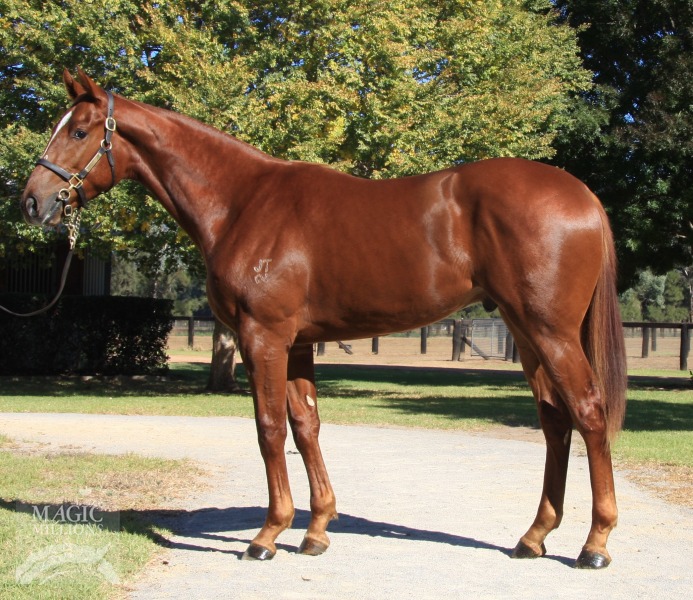 Sebring (AUS) / Indulgence (AUS) - photo 1