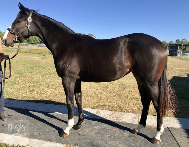 Rothesay (AUS) / Jillilikes (AUS) - photo 1