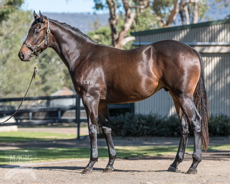 Time for War (AUS) / Quite Likely (AUS) - photo 1