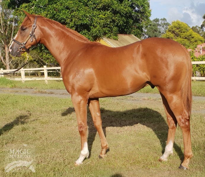 Love Conquers All (AUS) / Kitty Cotswold (AUS) - photo 1