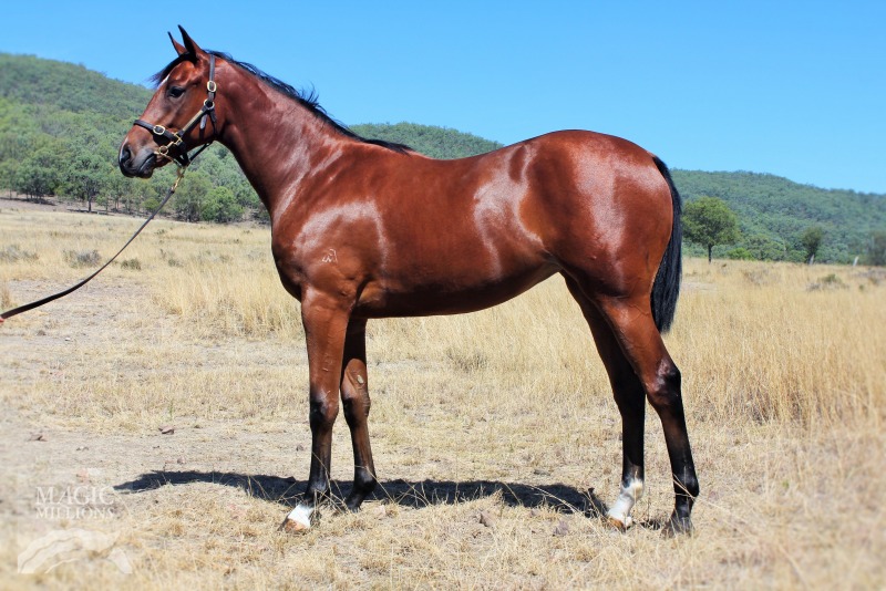 Headwater (AUS) / Leviosa (AUS) - photo 1