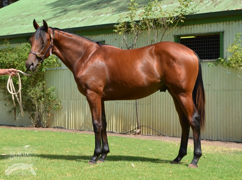 Spill the Beans (AUS) / Manhattan Transfer (AUS) - photo 1