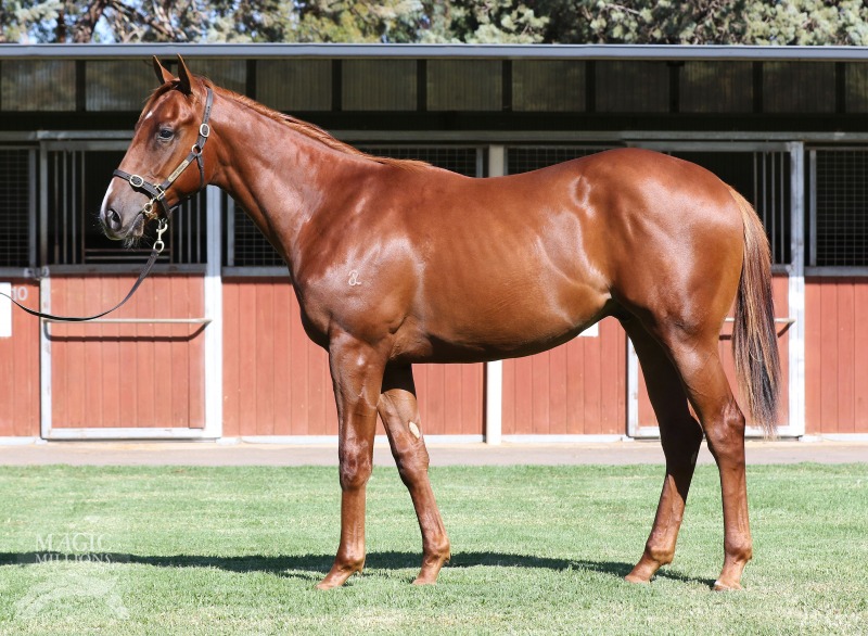 Unencumbered (AUS) / My Choisir (AUS) - photo 1