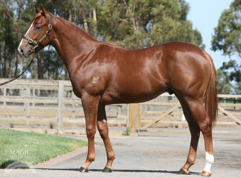 Bull Point (AUS) / Occurrence (AUS) - photo 1