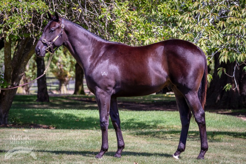 Exosphere (AUS) / Pontington (AUS) - photo 1