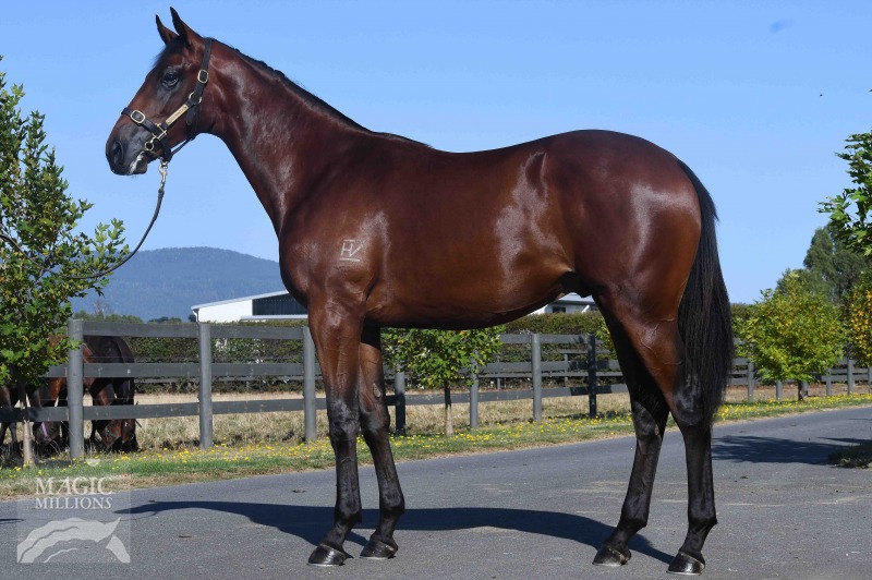 Mongolian Khan (AUS) / Rezidencia (NZ) - photo 1