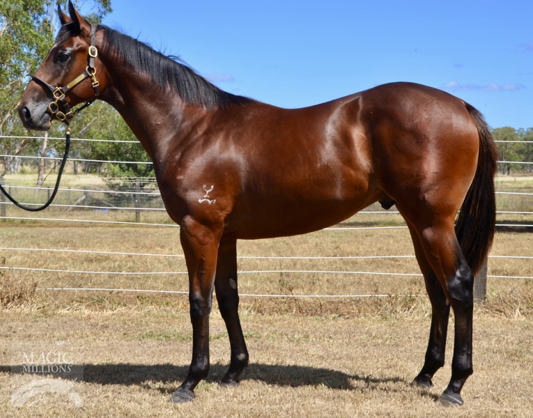 Danerich (AUS) / Street Princess (AUS) - photo 1