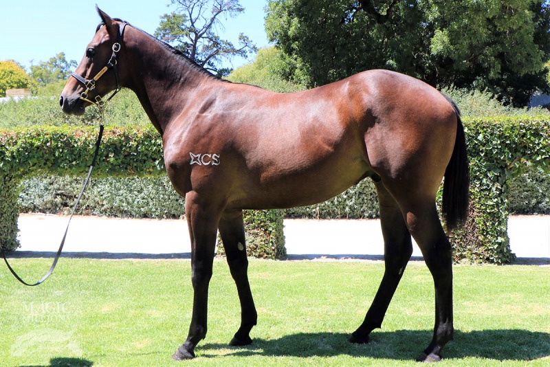 Zebedee (GB) / Terpsichore (AUS) - photo 1