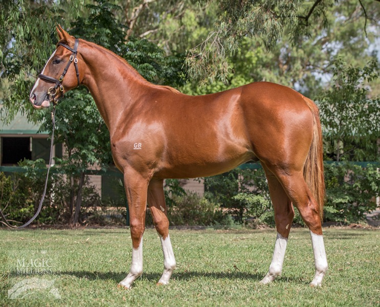 Scissor Kick (AUS) / Top of the Rock (AUS) - photo 1