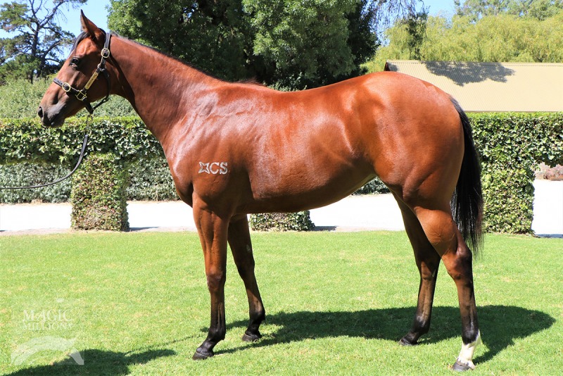 Valentia (AUS) / Typhoon (AUS) - photo 1