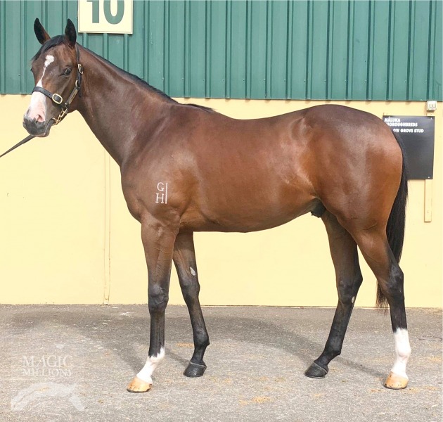 Hallowed Crown (AUS) / Wonderment (NZ) - photo 1