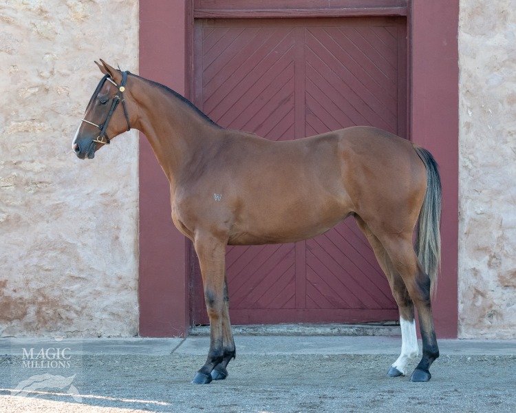 Scissor Kick (AUS) / Xaieta (AUS) - photo 1