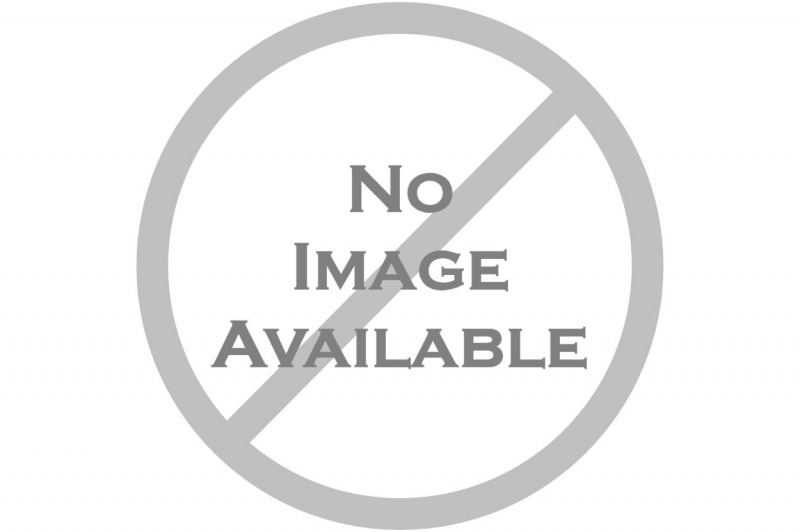 Holy Roman Emperor (IRE) / Allblack Lass (NZ) - photo 1