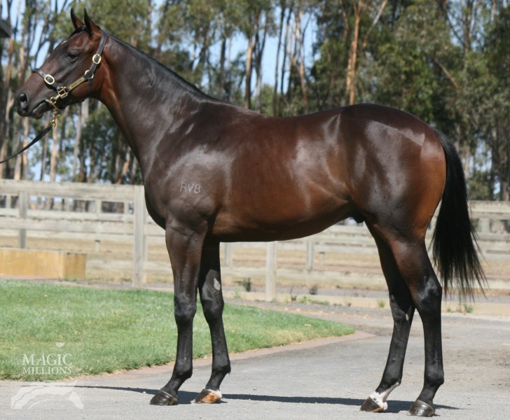 Smart Missile (AUS) / Allez Gal (AUS) - photo 1