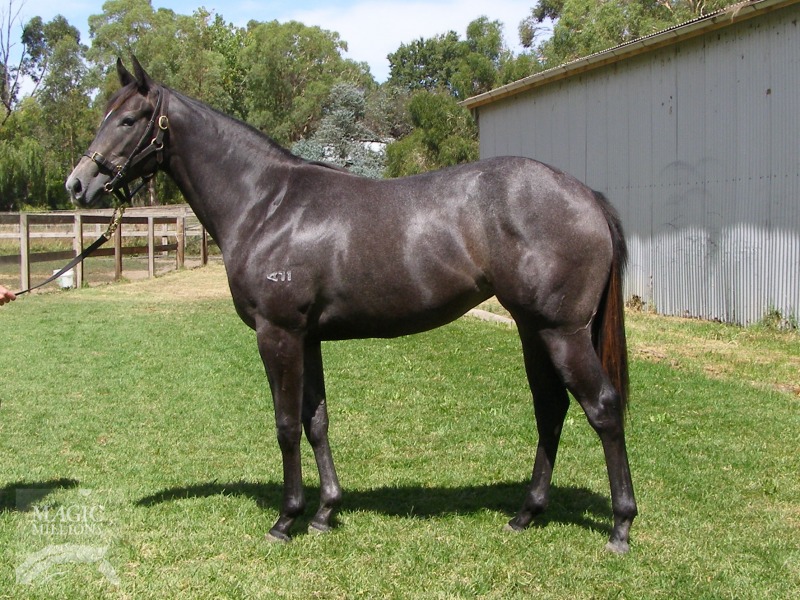 Zebedee (GB) / Angel of Hope (AUS) - photo 1