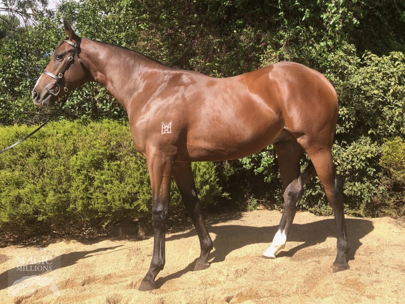 Outreach (AUS) / Beg (AUS) - photo 1