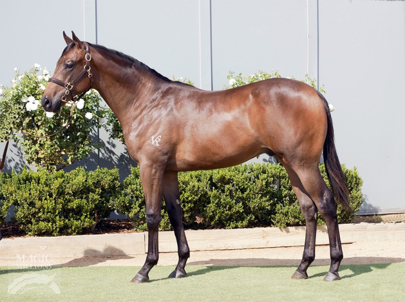 Pride of Dubai (AUS) / Claystone (AUS) - photo 1