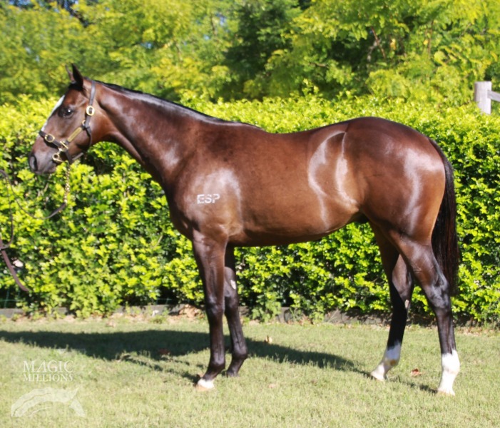 Pentire (GB) / Constant Charmer (USA) - photo 1