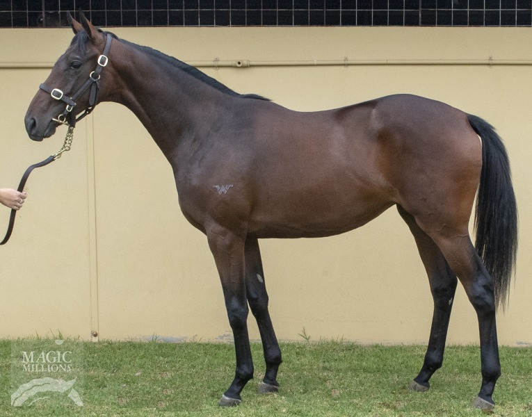 Tavistock (NZ) / Darook Park (AUS) - photo 1