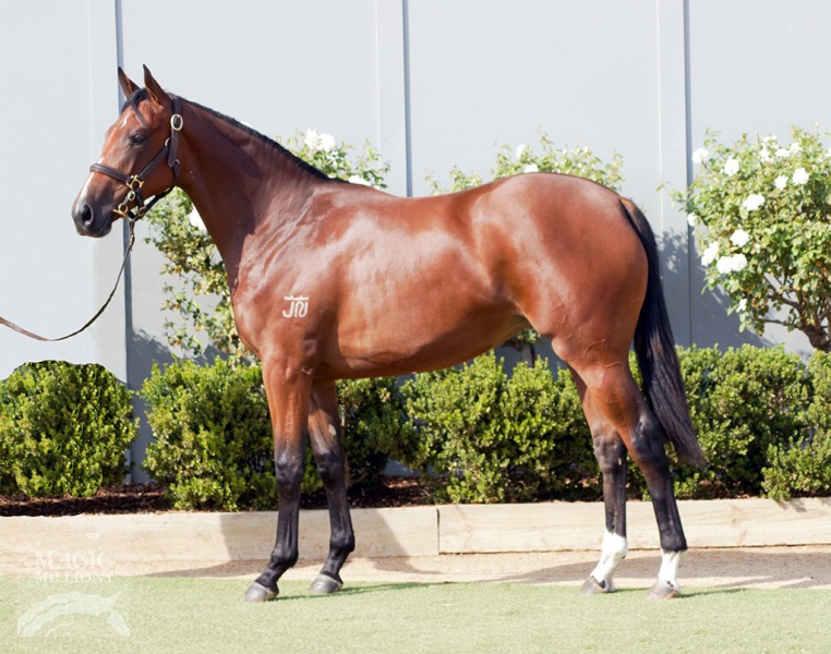 Sizzling (AUS) / Devotee (AUS) - photo 1