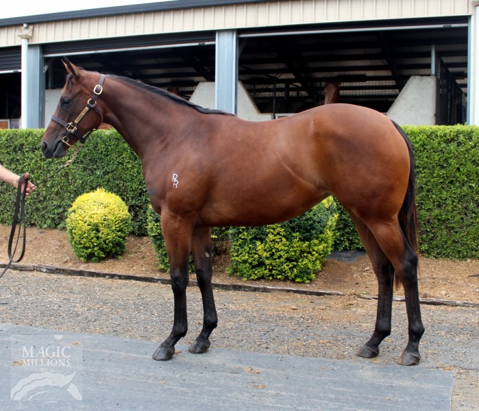 No Nay Never (USA) / Emerald Knight (AUS) - photo 1