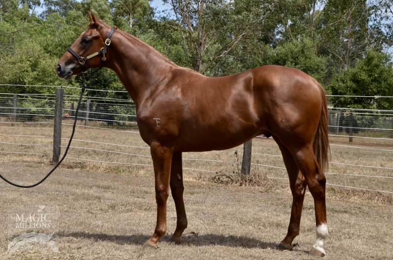 Street Boss (USA) / Emilydelago (AUS) - photo 1