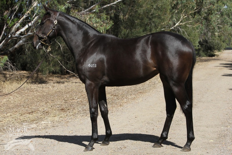 Wandjina (AUS) / Inishmore (AUS) - photo 1