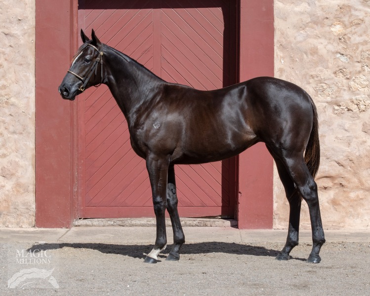 Dedline (AUS) / La Rieuse (AUS) - photo 1