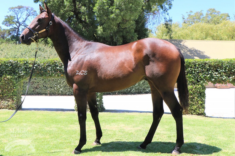 Eurozone (AUS) / Show Me Love (AUS) - photo 1