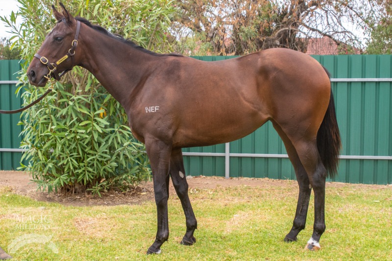 Unencumbered (AUS) / Street Music (AUS) - photo 1