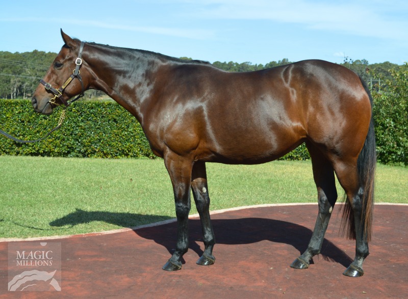 Dendee (AUS) - photo 1